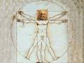 Vitruvian Man