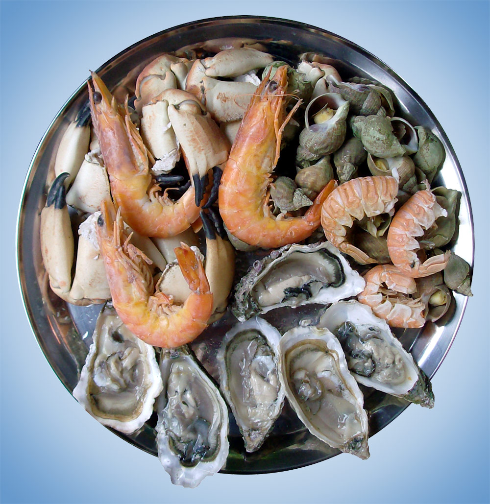 Seafood Meat