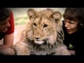 A lion called Christian - The whole Documentary (Full length)