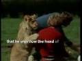 Christian the lion