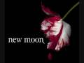 my New Moon Soundtrack #1-Duet-Rachael Yamagata w subtitle lyrics