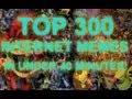 TOP 300 INTERNET MEMES IN UNDER 40 MINUTES!