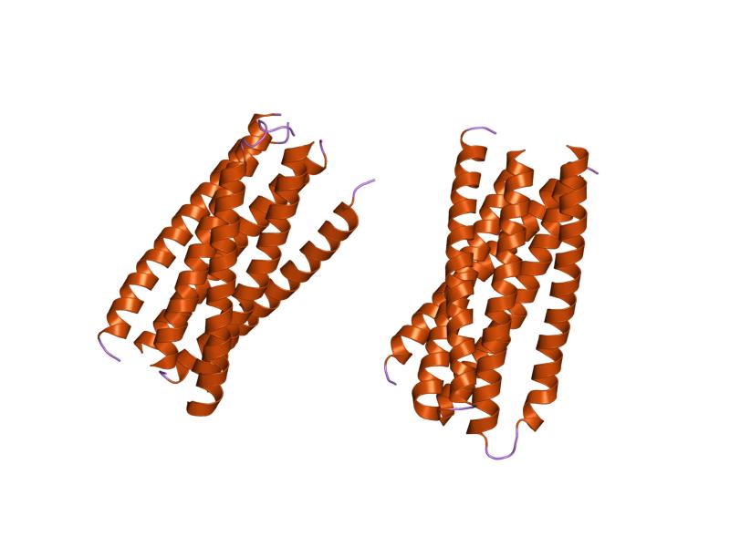 PDB 1f23 EBI.jpg