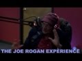 JRE #334 - Dr. Amit Goswami