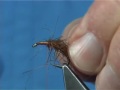 Tying a Caddis Nymph Pupa by Davie McPhail