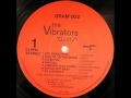 The Vibrators - 