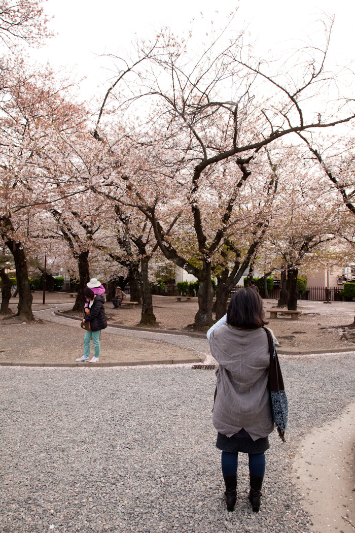 Mjolk_Kitka_Japan_2013--25