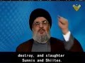 Sayyed Nasrallah: Syria's Friends won't Let It Fall in US, Israel, Takfiri Hands (08-05-2013)