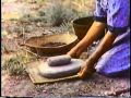 Pine Nuts the Movie (Paiute, Shoshone & Washo pine nut harvesting and preparation)