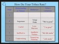 Tribal Leadership