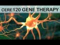 Gene Therapy Medical Animation (CERE-120)