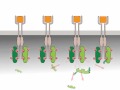 Oncogenic activation receptor tyrosine kinases