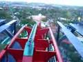 Sheikra busch gardens Tampa,FL