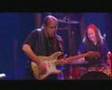 Walter Trout - Dust my broom