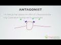 018 Agonists and Antagonists