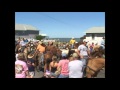 Chincoteague Pony Penning 2012