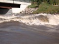 Geese Surf Glenwood Wave @ 25,500 cfs!! (Original)