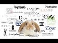 ANIMAL TESTING - MAKEUP COMPANIES AND THE EU BAN