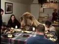 AN AMERICAN THANKSGIVING - CW NETWORK - 4PM