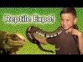 REPTILE SHOW & EXPO 2012! Venomous Snake Display, Geckos, Alligator, Bearded Dragons and more!