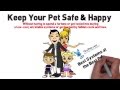 Do It yourself Dog Fence Systems Cheaper than Invisible Fence® Brand