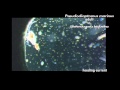 Zooplankton feeding: copepod adults and larvae (nauplii) eating various phytoplankton