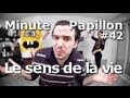 Minute Papillon #42 Le sens de la vie (feat Tal, Bob l'éponge...)