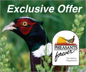 Pheasants Forever