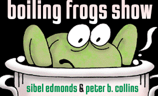 The Boiling Frogs Show