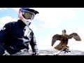 Peregrine falcon hunts downhill rider (with Red Bull channel) - Earth Unplugged