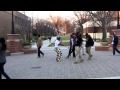 UTC Official Harlem Shake Video