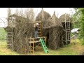 Patrick Dougherty 