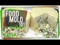 Food Mold 101