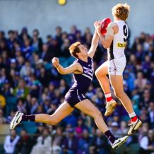 StatsCloud: Fremantle v St Kilda