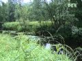 Bear kingdom: Meeting with nature in Russia's Tver region