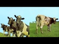 Pink Floyd - Atom Heart Mother