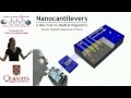 Three Minute Thesis - Nanocantilevers & medical diagnostics