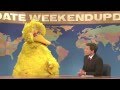 Saturday Night Live - Weekend Update: Big Bird