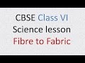 CBSE Science lesson Class VI Fibre to Fabric