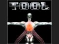 Tool, No Quarter, Salival