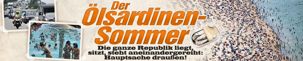 Heiße Temperaturen: Das ist der Ölsardinen-Sommer!   