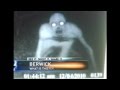 REAL HYBRID ALIEN CREATURE ON CAUGHT FILM