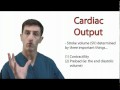 The Physiology of Cardiac Output