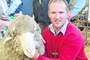 Merinos make $10,000