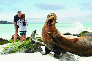 Galapagos island with sea lions.