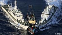 A boat, center, is surrounded by Japan Cost Guard's patrol boats after some activists descended from the boat on Uotsuri Island, one of the islands of Senkaku in Japanese and Diaoyu in Chinese, in East China Sea Wednesday, Aug. 15, 2012. (Photo:Yomiuri Shimbun, Masataka Morita/AP/dapd) JAPAN OUT, MANDATORY CREDIT