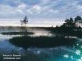 Nature in Estonia - visitestonia.com