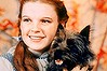 wizard of oz pics
Judy Garland