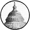 US capitol icon.png