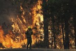 Firefighter A.J. Tevis watches the flames of the Rim Fire near Yosemite National Park, Calif., on Sunday, Aug. 25, 2013.